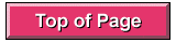 Top of Page