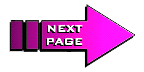 Next Page